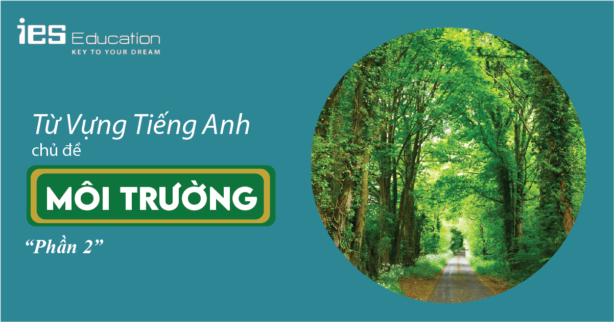  TỪ VỰNG TIẾNG ANH CHỦ ĐỀ VỀ MÔI TRƯỜNG CÓ VÍ DỤ PHẦN 2