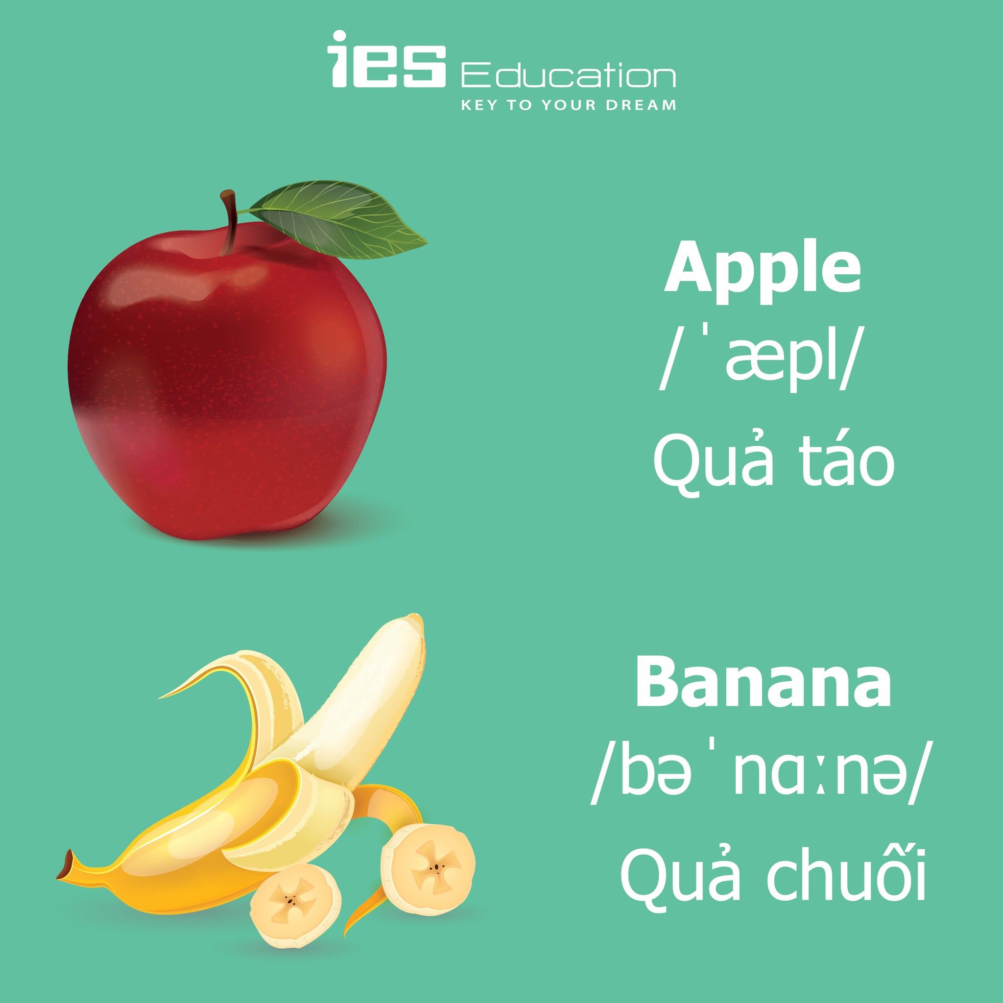 Từ vựng tiếng Anh chủ đề về trái cây - IES Education