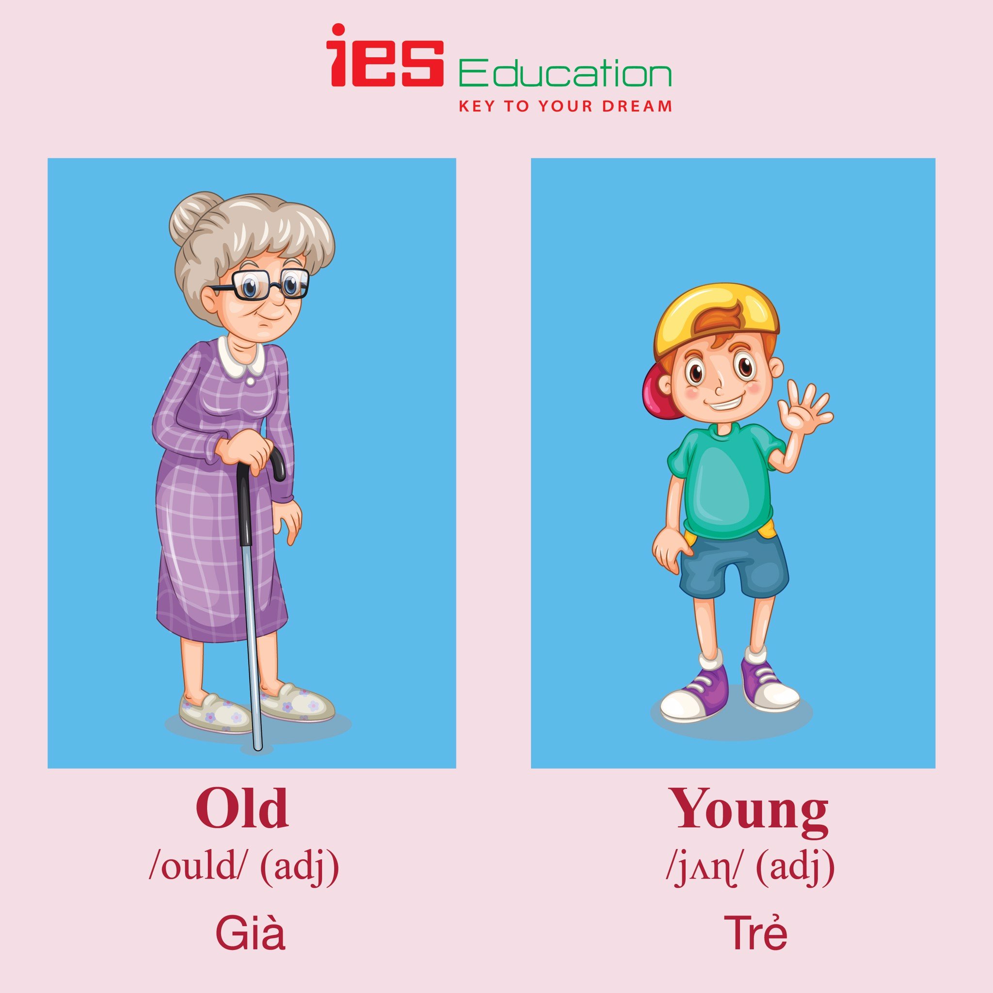 Từ vựng tiếng Anh chủ đề miêu tả - IES Education