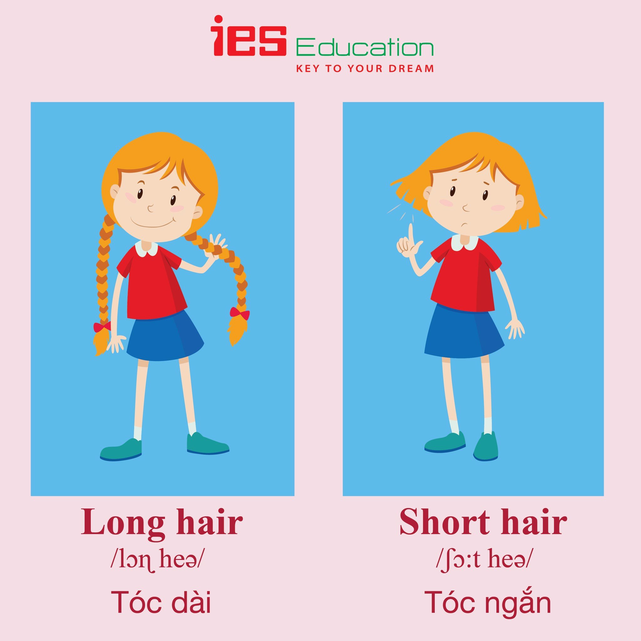 Từ vựng tiếng Anh chủ đề miêu tả - IES Education