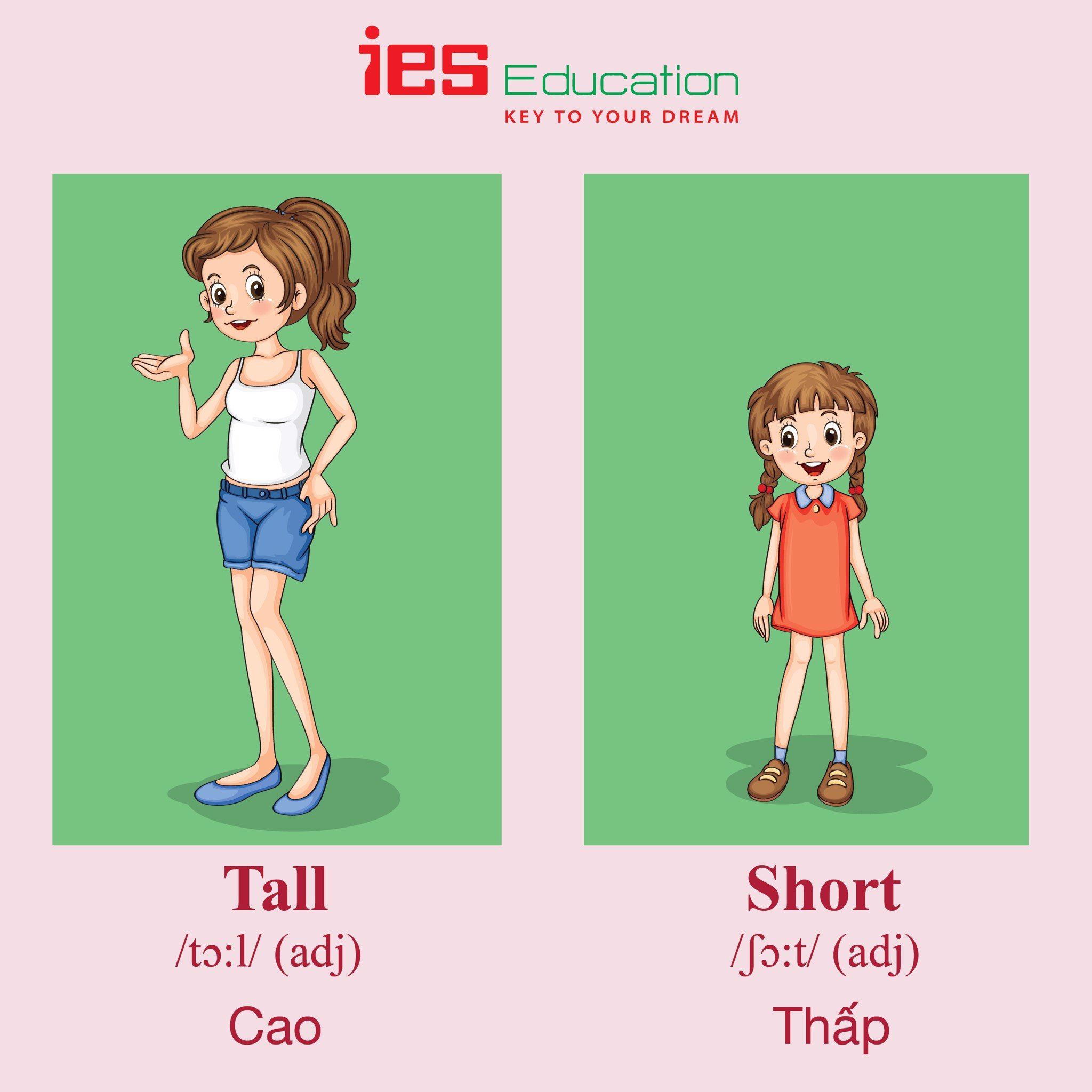 Từ vựng tiếng Anh chủ đề miêu tả - IES Education