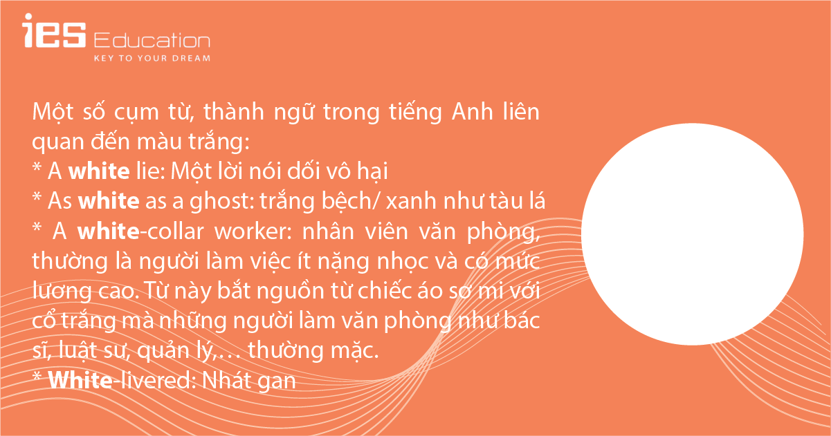 TỪ VỰNG TIẾNG ANH VỀ MÀU SẮC