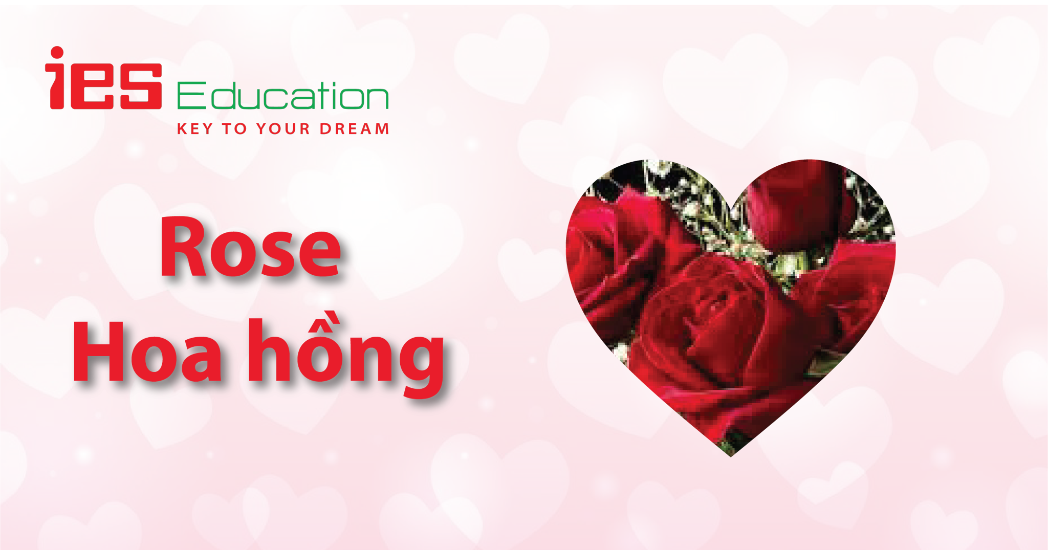 TỪ VỰNG TIẾNG ANH VỀ CHỦ ĐỀ VALENTINE