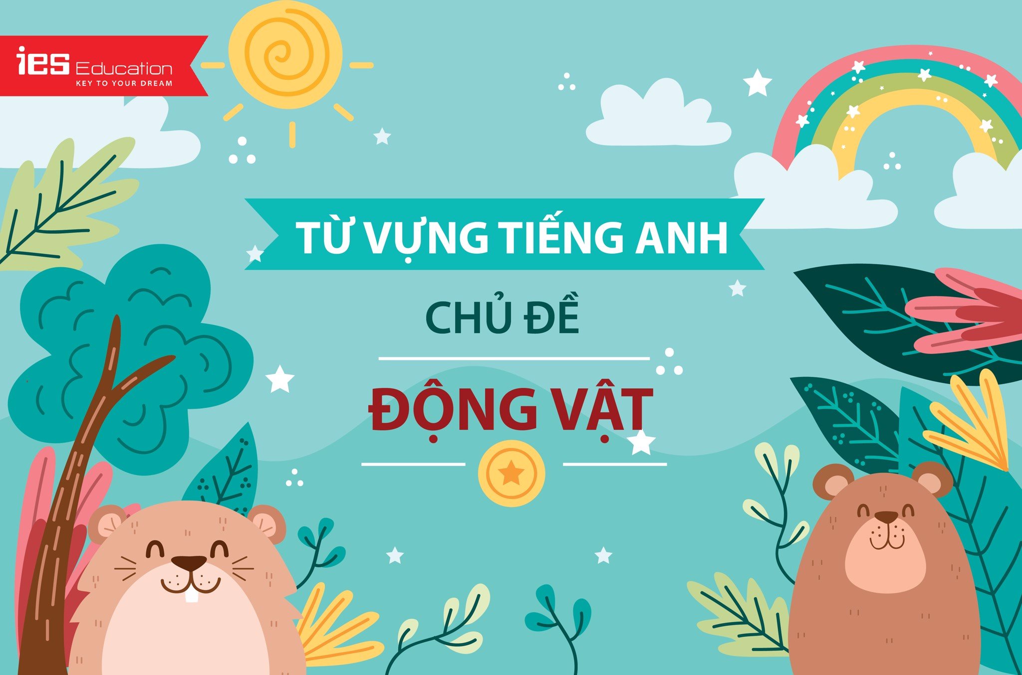 Học từ vựng tiếng Anh chủ đề động vật - IES Education