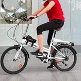 Xe đạp gấp gọn siêu cao cấp Probike nội địa Đức