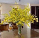 Lọ hoa cao cấp Nachtman Sphere 28cm