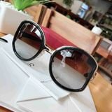 Kính thời trang Salvatore Ferragamo SF719S 001