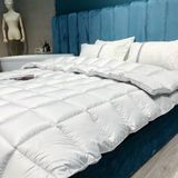 Ruột chăn lông vũ Hilton 2022