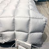 Ruột chăn lông vũ Hilton 2022