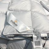 Ruột chăn lông vũ Hilton 2022