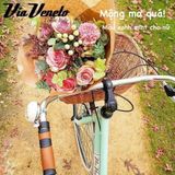 Xe đạp Ý Via Veneto