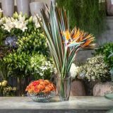 Lọ hoa Rogaska Oceania 30cm