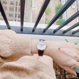 Đồng hồ thời trang Ferre Milano