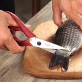 Kéo Victorinox