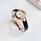 Đồng hồ thời trang Just cavalli