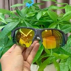  Kính thể thao chống nắng, chống chói mắt 