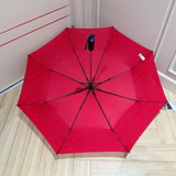 Ô Tommy siêu đẹp và thời trang