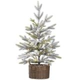 Bộ 3 cây thông Noel trang trí với đèn LED