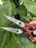 Kéo Victorinox