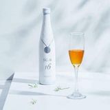 Collage Refa Enrich 16