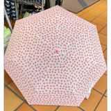 Ô bật/cụp tự động 2 chiều Ideenwelt của Đức