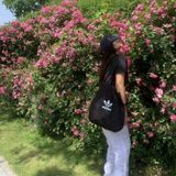 Túi canvas Adidas Tote Bag