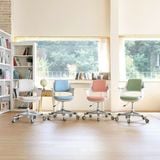 Ghế chống gù Leanback Made in Korea