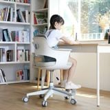 Ghế chống gù Leanback Made in Korea