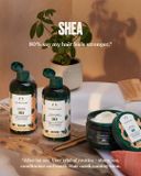Bộ dầu gội xả gừng The Body Shop