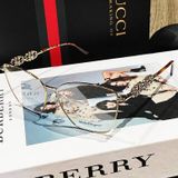 Kính thời trang Salvatore Ferragamo