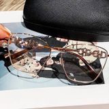 Kính thời trang Salvatore Ferragamo
