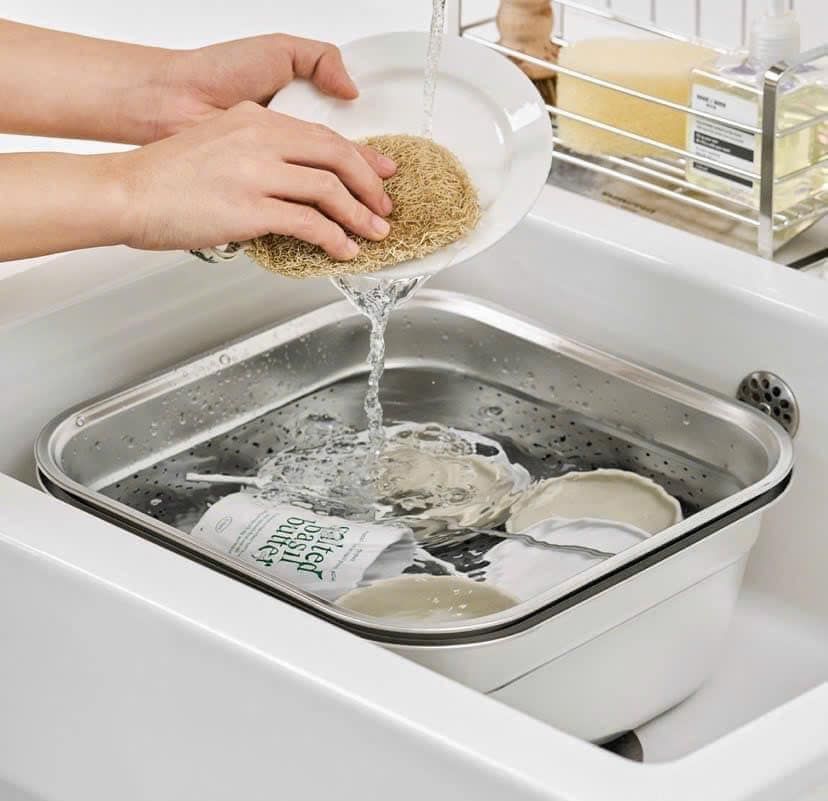 Bộ chậu rửa vuông inox 8L đa năng Wagensteiger
