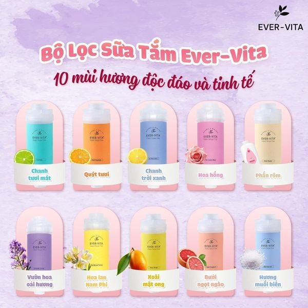 Lõi lọc Vitamin C Evervita Made in Korea