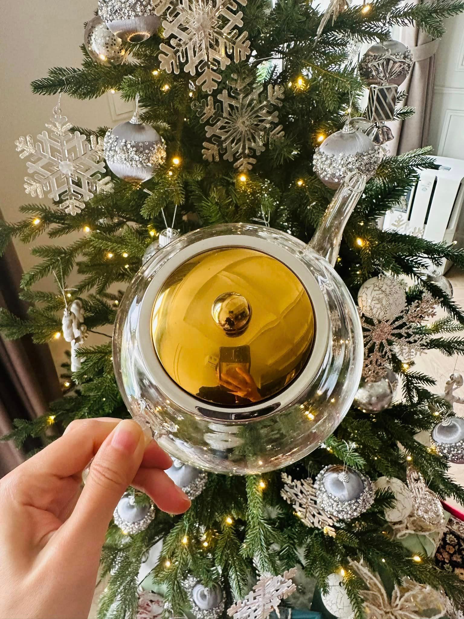 Ấm trà Echtwerk Germany 1L