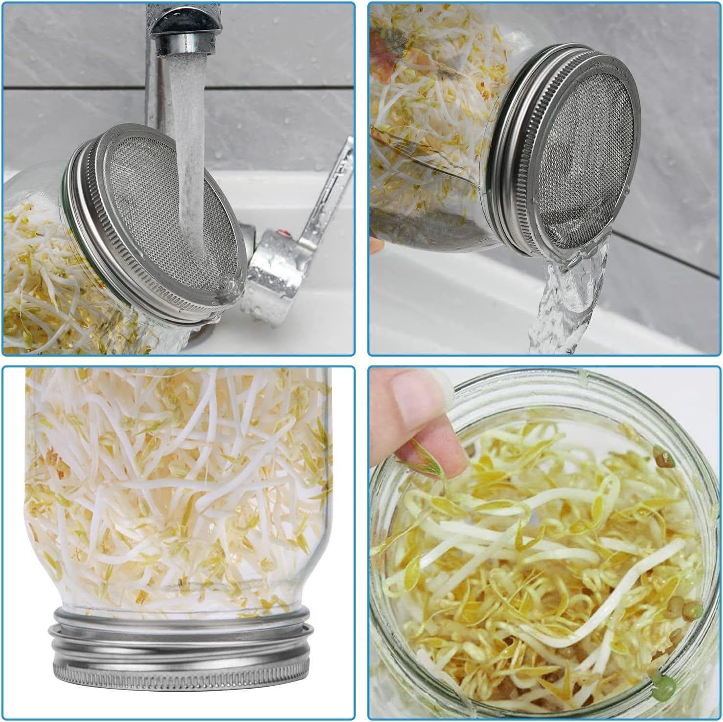 Bộ 2 lọ nảy mầm kèm giá đỡ Mason
