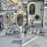 Bộ lược gỡ rối VIP Gift Dior