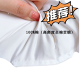 Ruột gối lông vũ kháng khuẩn Japan