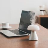 Đèn chiếu sáng và khuếch tán Iluminar