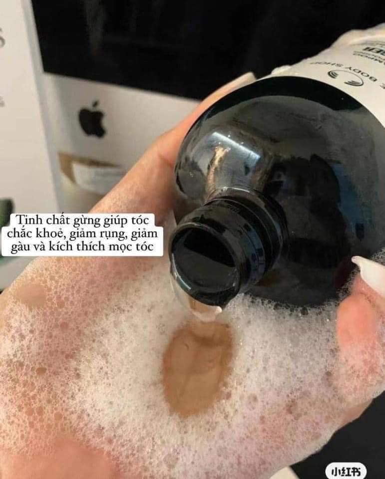 Dầu gội gừng The Body Shop