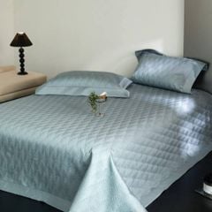 Bộ chăn ga gối freesize hoạ tiết vân chìm 5D Tencel 80s