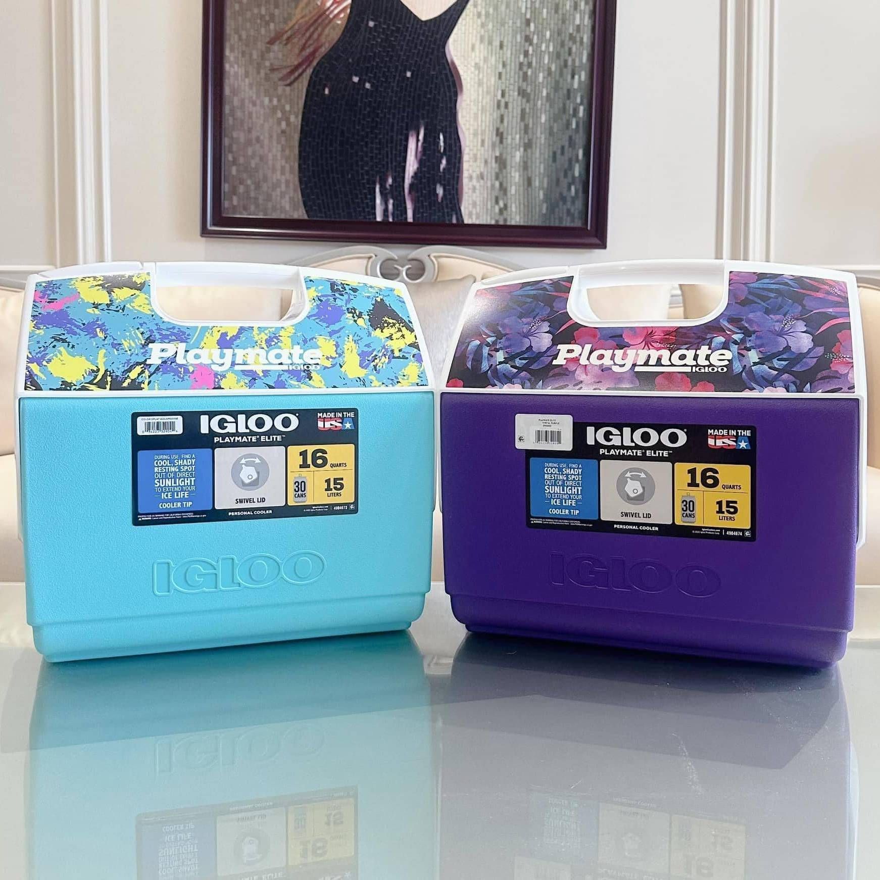 Hộp giữ lạnh Igloo Playmate Elite 15L