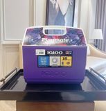 Hộp giữ lạnh Igloo Playmate Elite 15L