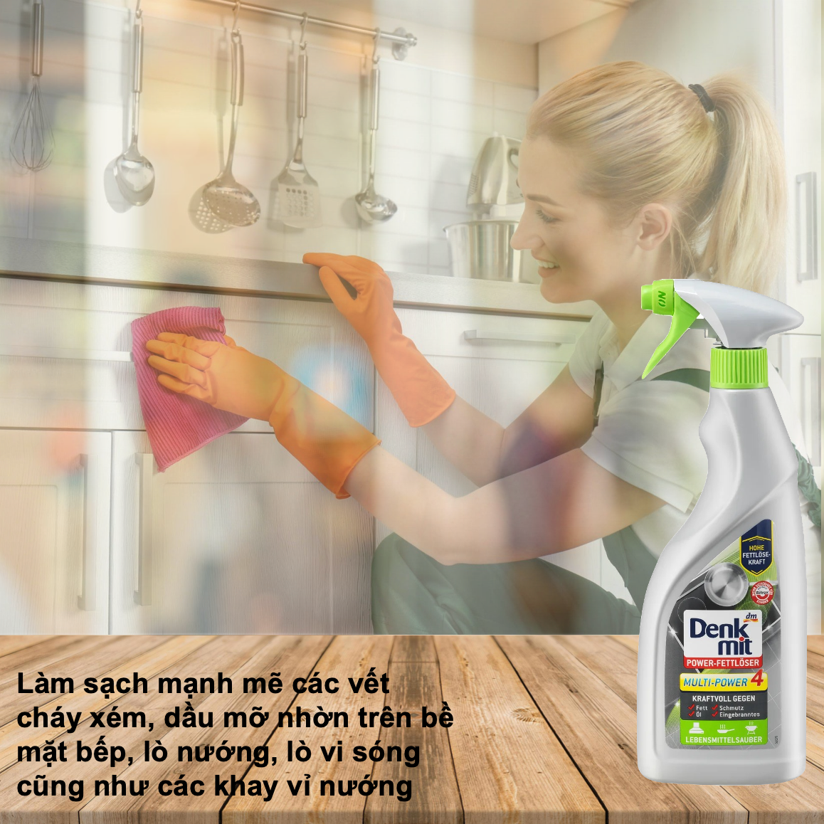 Xịt vệ sinh dầu mỡ nhà bếp đa năng Denkmit Fett 750ml