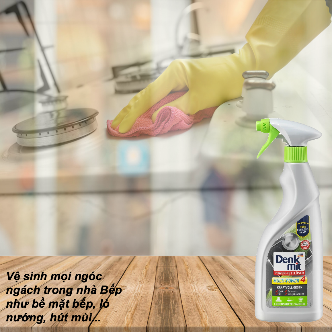 Xịt vệ sinh dầu mỡ nhà bếp đa năng Denkmit Fett 750ml