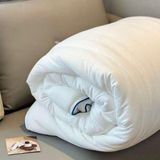 Ruột chăn đông Planet Sleep 3kg