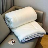 Ruột chăn đông Planet Sleep 3kg