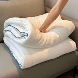 Ruột chăn đông Planet Sleep 3kg