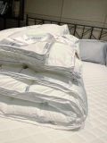 Ruột chăn lông vũ Moncler Pháp 200*230cm
