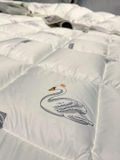 Ruột chăn lông vũ Moncler Pháp 200*230cm