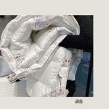 Ruột chăn lông vũ Moncler Pháp 200*230cm